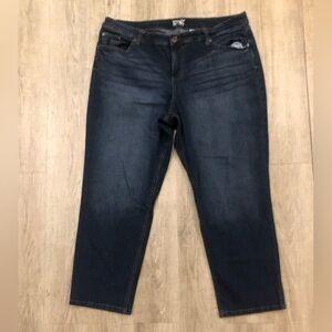 Terra & Sky 18WP Straight Blue Jeans